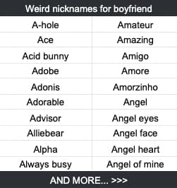 Weird nicknames for boyfriend A-hole Amateur Ace Amazing Acid bunny Amigo Adobe Amore Adonis Amorzinho Adorable Angel Advisor Angel eyes Alliebear Angel face Alpha Angel heart Always busy Angel of mine