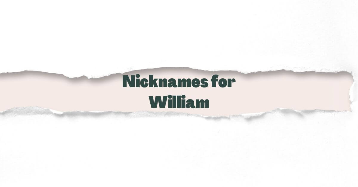 Nicknames for William