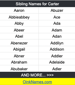 Sibling Names for CarterAaron Abuzer Abbieabbey Ace Abby Ada Abeer Adam Abel Adan Abenezer Addilyn Abigail Addison Abner Addler Abraham Adelaide Abubaker Adler