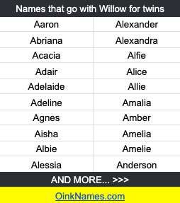 Names that go with Willow for twinsAaron Alexander Abriana Alexandra Acacia Alfie Adair Alice Adelaide Allie Adeline Amalia Agnes Amber Aisha Amelia Albie Amelie Alessia Anderson